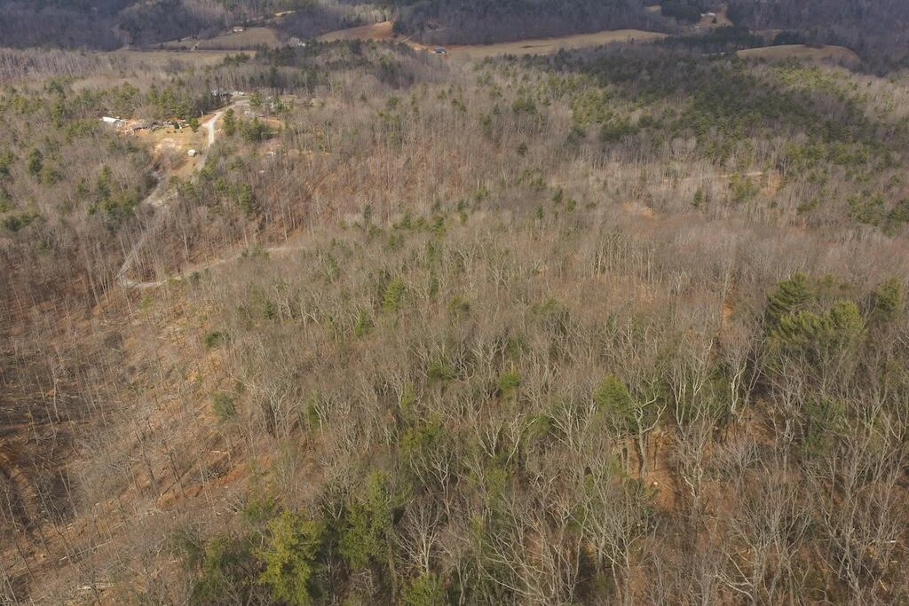 TBD Ferrum Forest LN - Photo 14