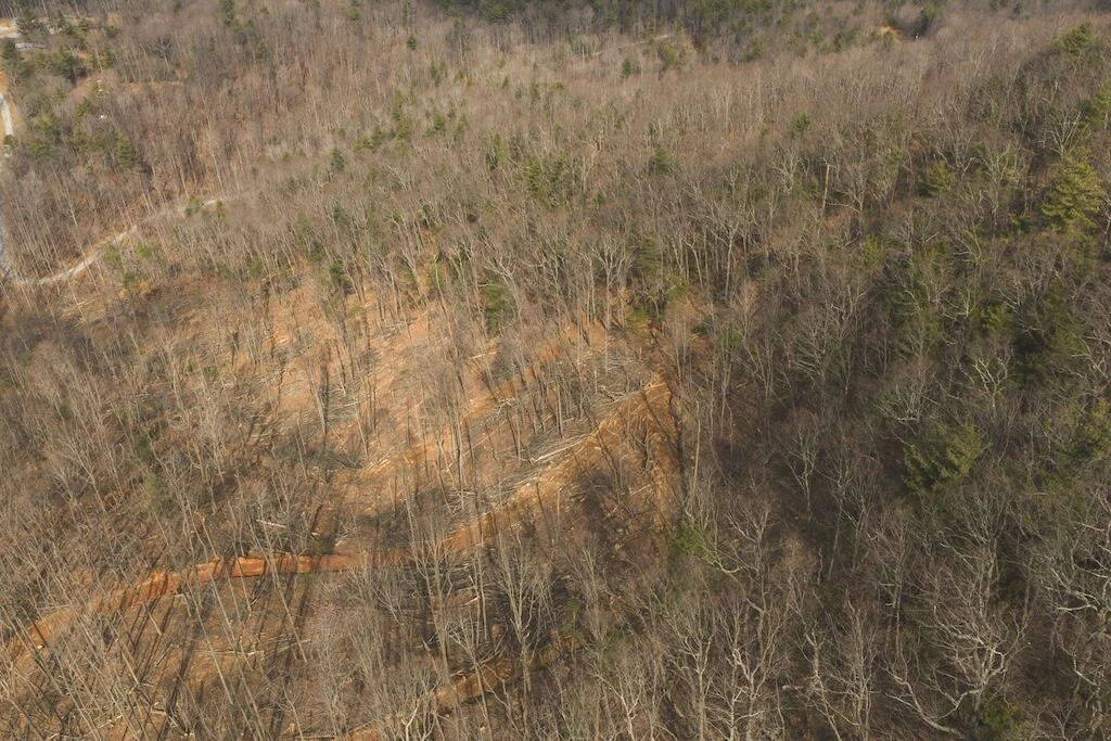 TBD Ferrum Forest LN - Photo 15
