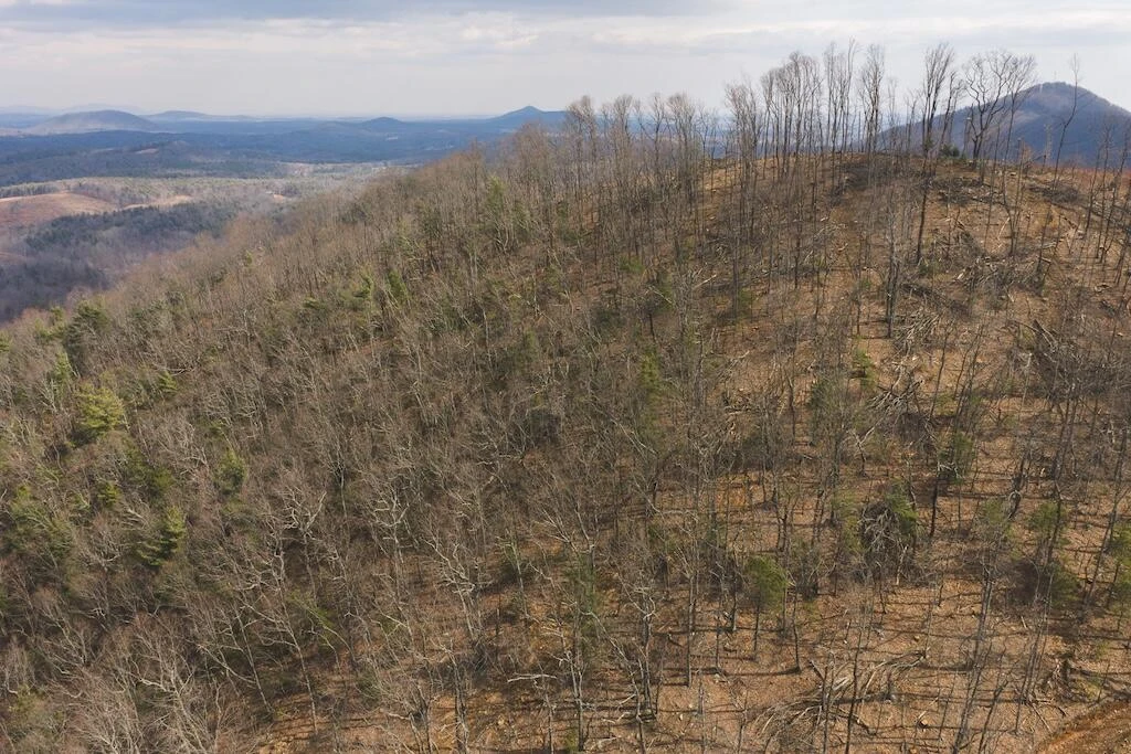 TBD Ferrum Forest LN - Photo 16