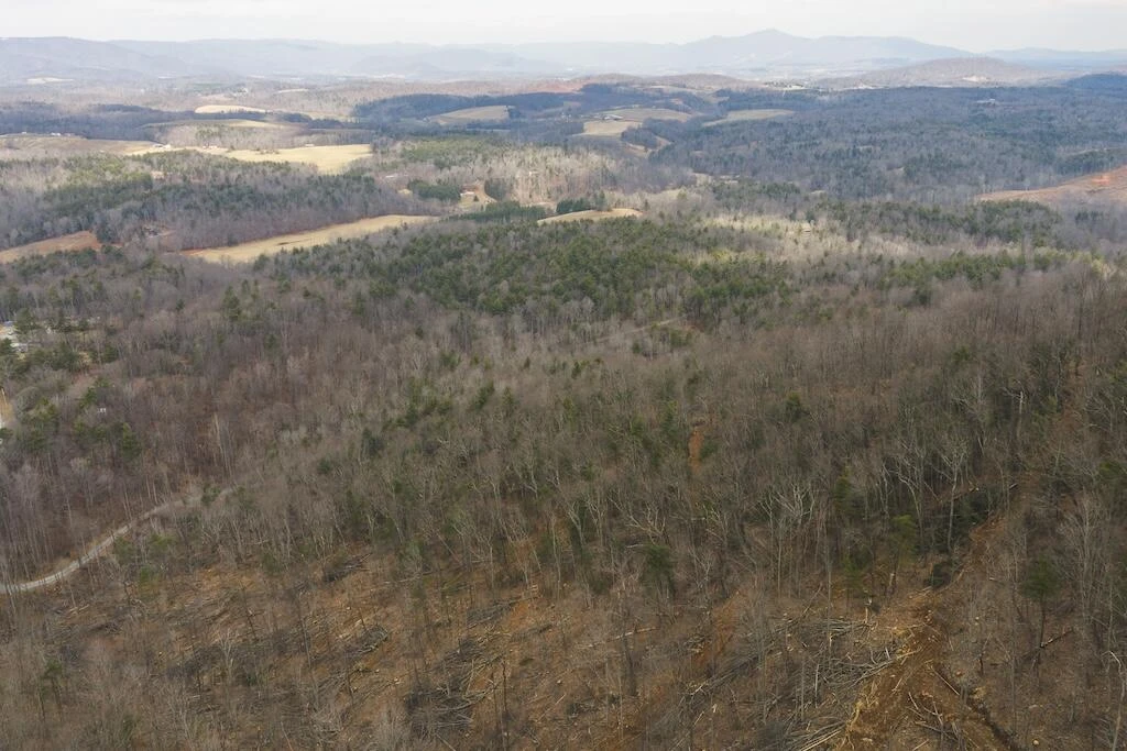 TBD Ferrum Forest LN - Photo 17