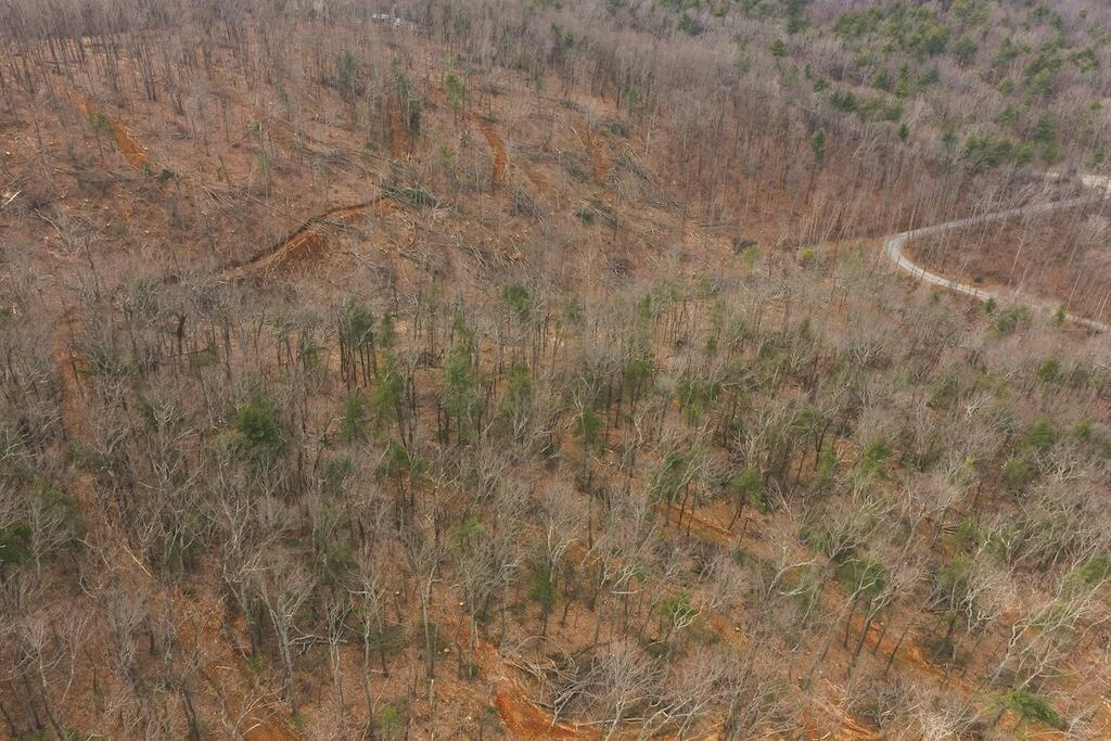 TBD Ferrum Forest LN - Photo 18