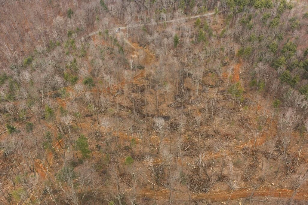 TBD Ferrum Forest LN - Photo 19