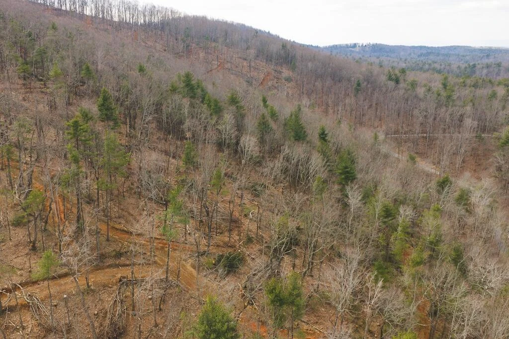 TBD Ferrum Forest LN - Photo 20