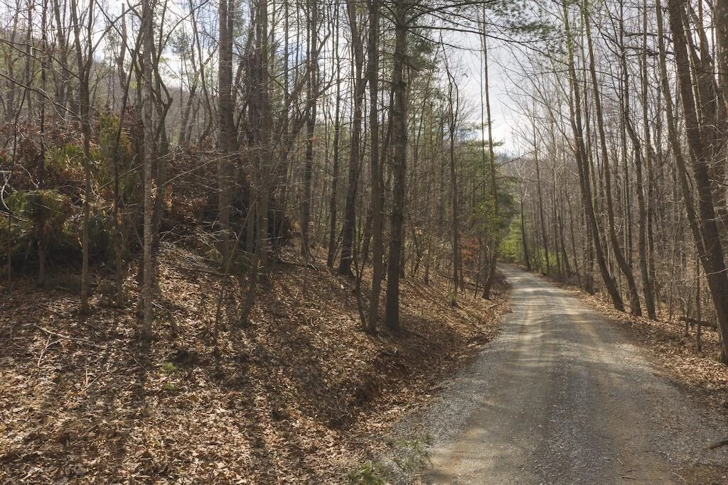 TBD Ferrum Forest LN - Photo 21