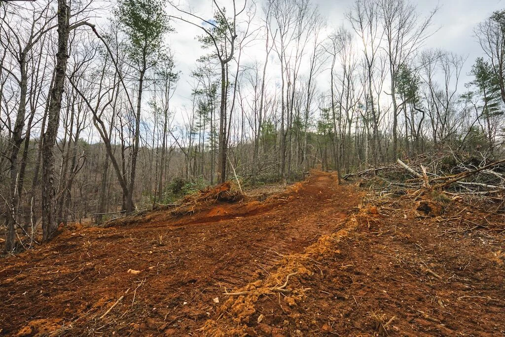 TBD Ferrum Forest LN - Photo 23