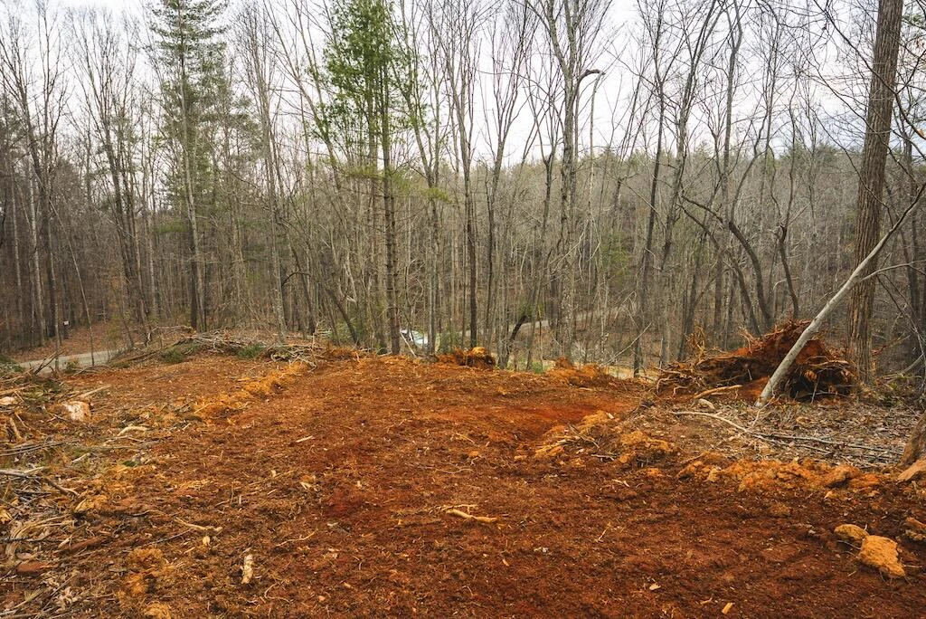 TBD Ferrum Forest LN - Photo 24
