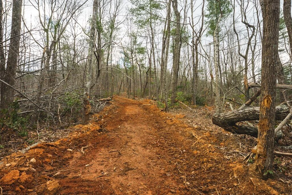 TBD Ferrum Forest LN - Photo 25