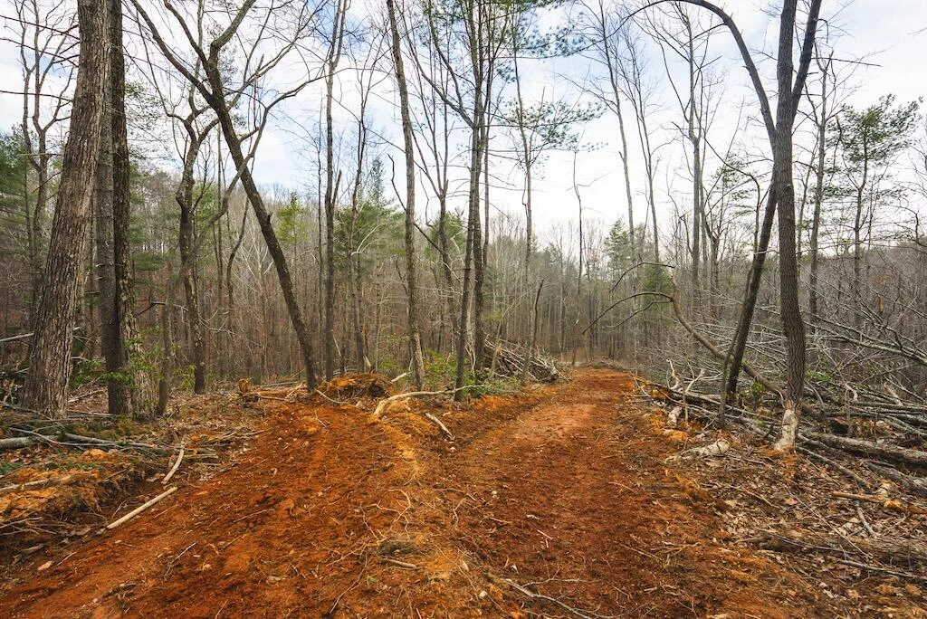 TBD Ferrum Forest LN - Photo 27