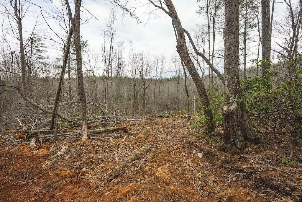 TBD Ferrum Forest LN - Photo 28