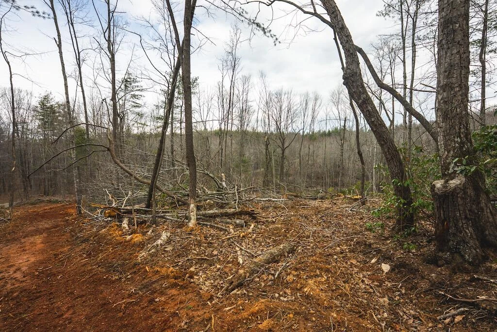 TBD Ferrum Forest LN - Photo 29