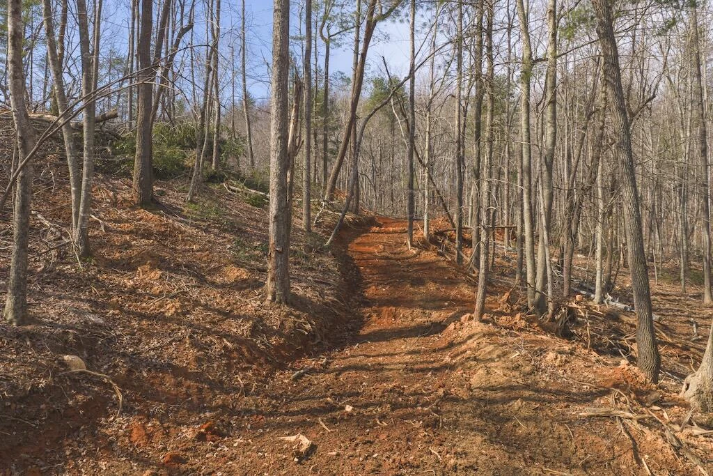 TBD Ferrum Forest LN - Photo 3