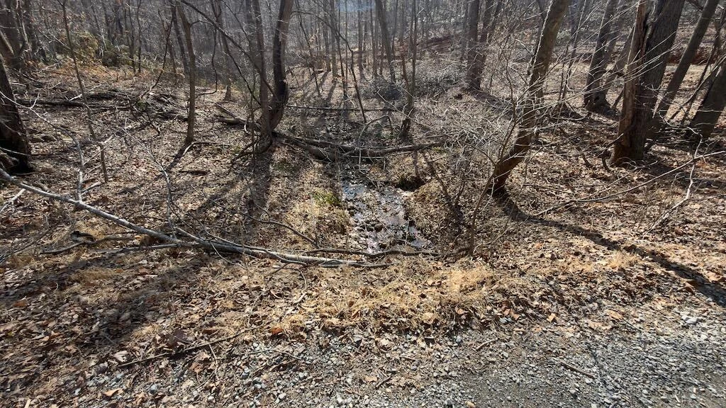 TBD Ferrum Forest LN - Photo 30
