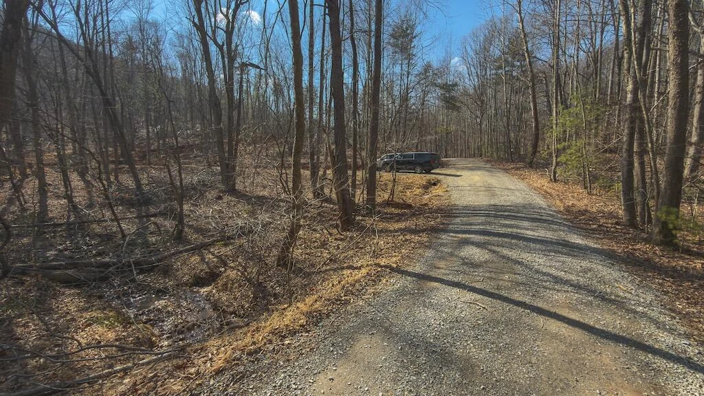 TBD Ferrum Forest LN - Photo 31