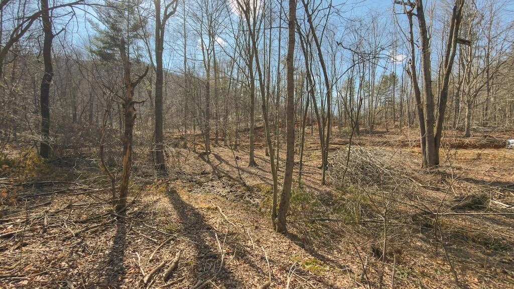 TBD Ferrum Forest LN - Photo 32