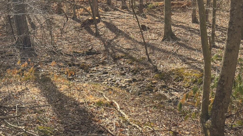 TBD Ferrum Forest LN - Photo 33
