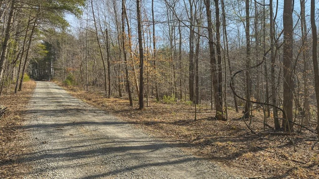 TBD Ferrum Forest LN - Photo 34