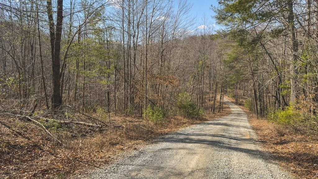 TBD Ferrum Forest LN - Photo 35