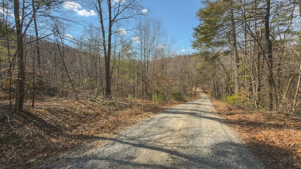 TBD Ferrum Forest LN - Photo 36