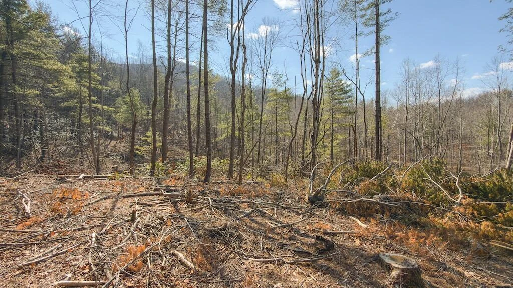 TBD Ferrum Forest LN - Photo 37