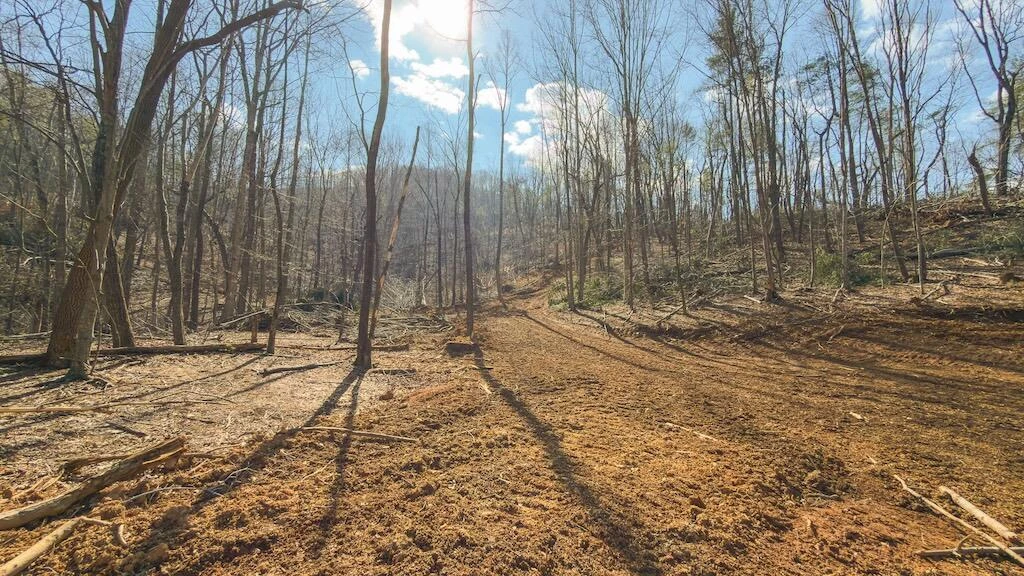 TBD Ferrum Forest LN - Photo 38
