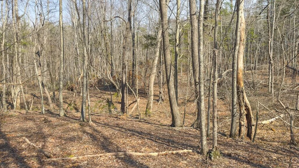 TBD Ferrum Forest LN - Photo 39