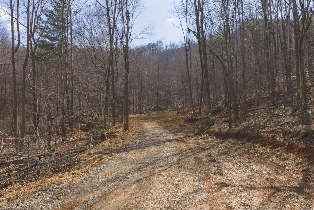 TBD Ferrum Forest LN - Photo 4