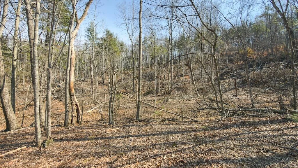 TBD Ferrum Forest LN - Photo 40