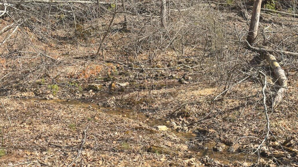 TBD Ferrum Forest LN - Photo 41