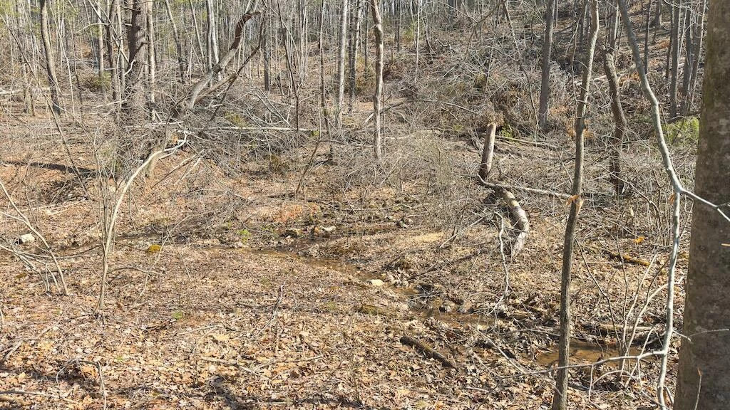 TBD Ferrum Forest LN - Photo 42