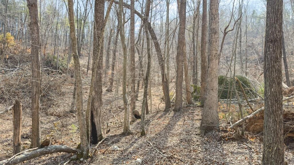 TBD Ferrum Forest LN - Photo 43