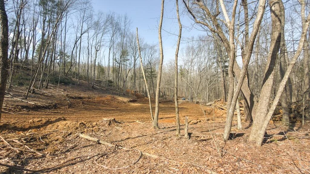 TBD Ferrum Forest LN - Photo 44