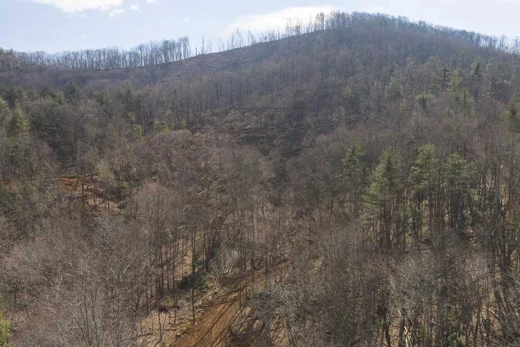 TBD Ferrum Forest LN - Photo 5