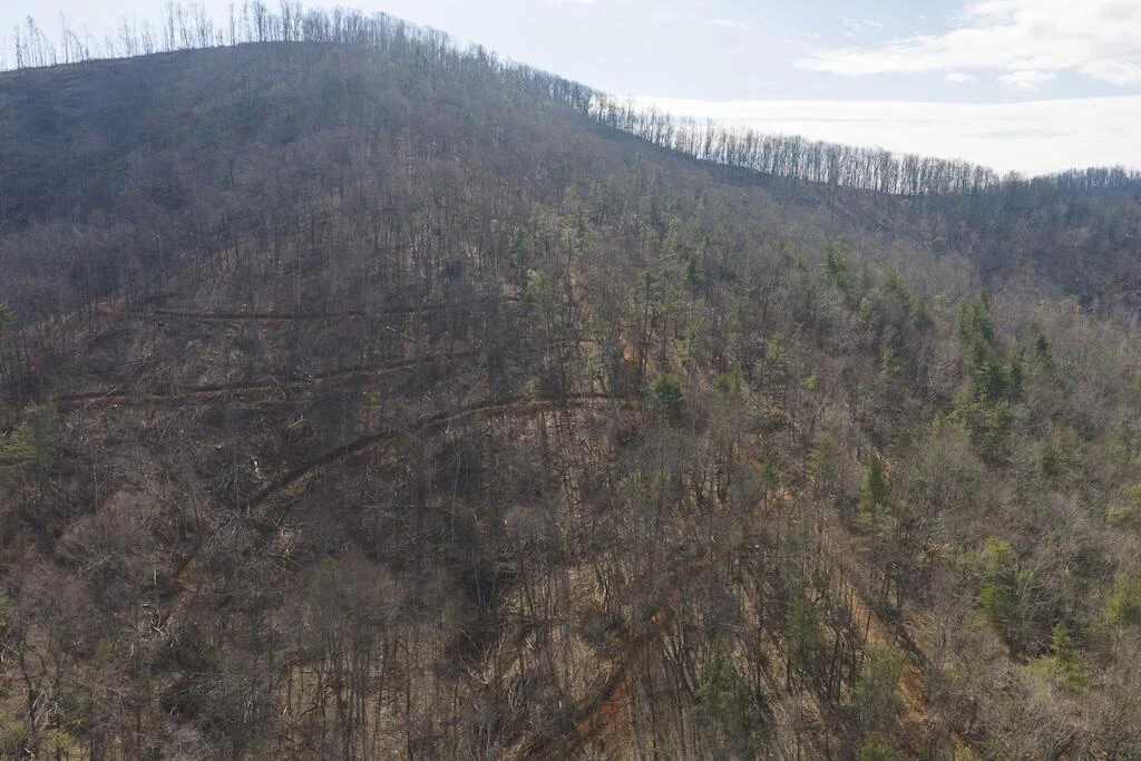 TBD Ferrum Forest LN - Photo 6