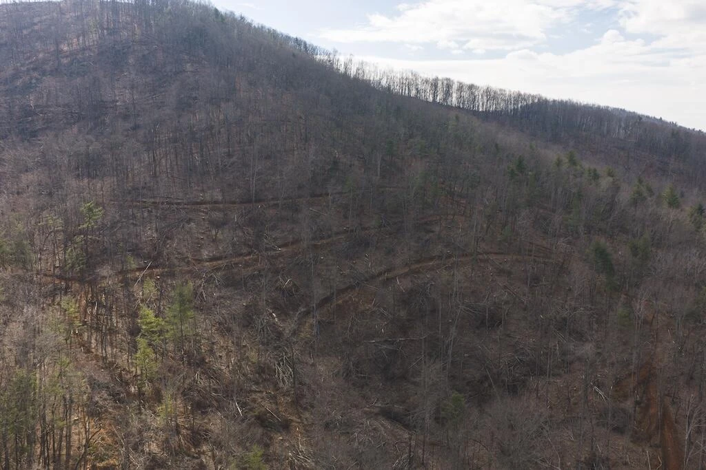 TBD Ferrum Forest LN - Photo 7