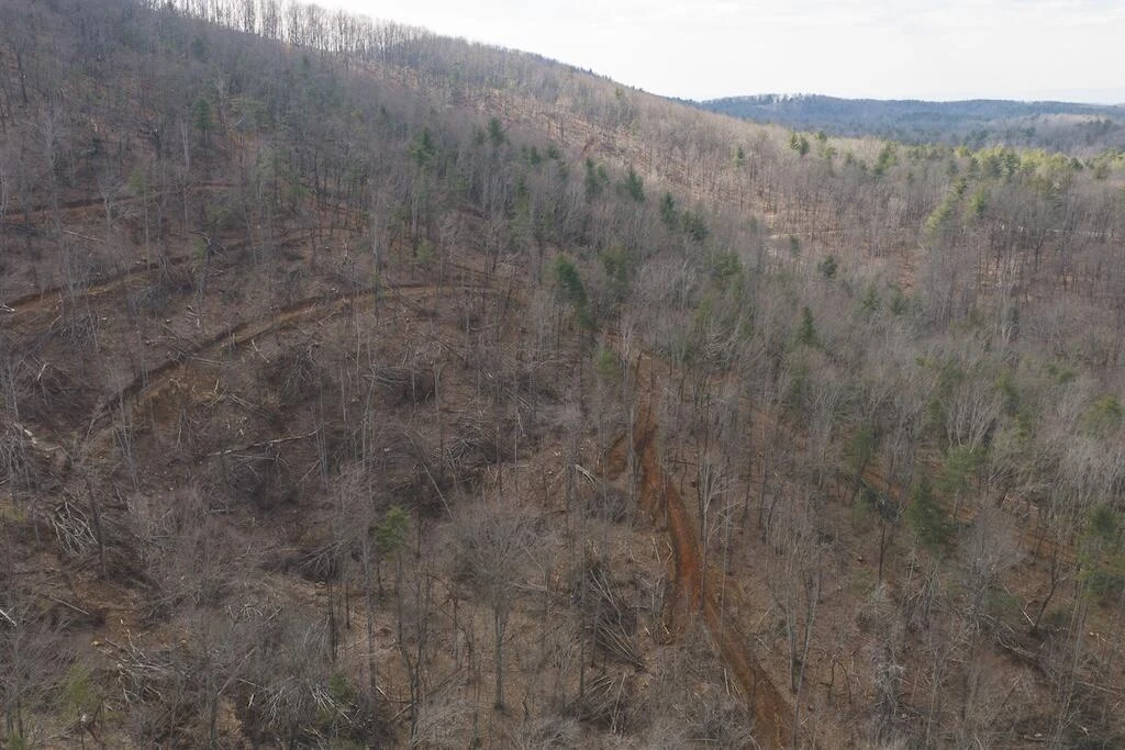 TBD Ferrum Forest LN - Photo 8