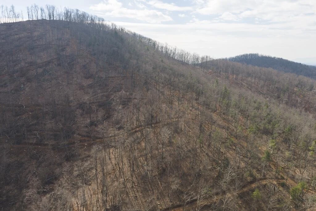 TBD Ferrum Forest LN - Photo 9