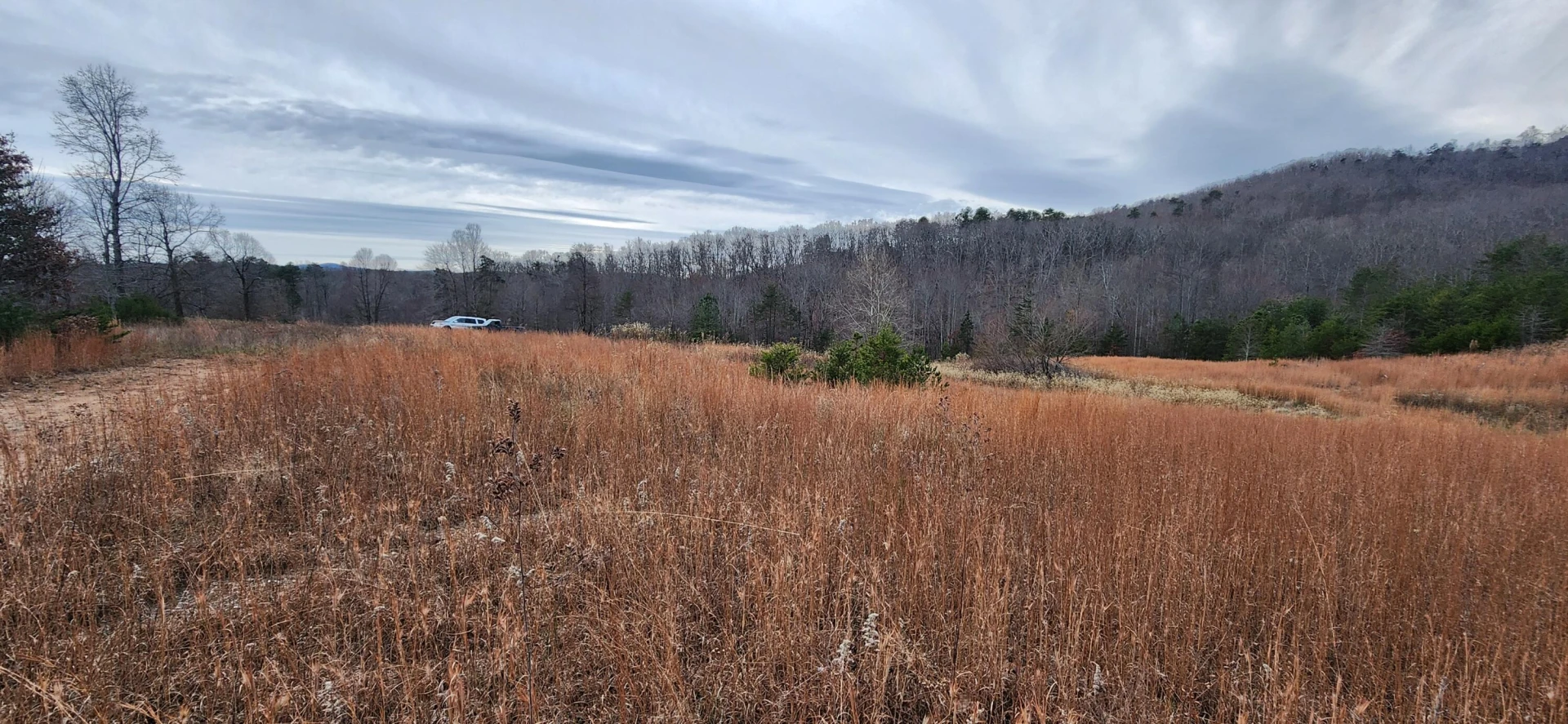 Lot 4 Sontag RD