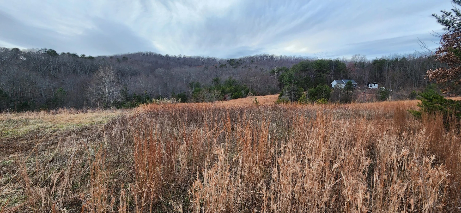 Lot 4 Sontag RD - Photo 2