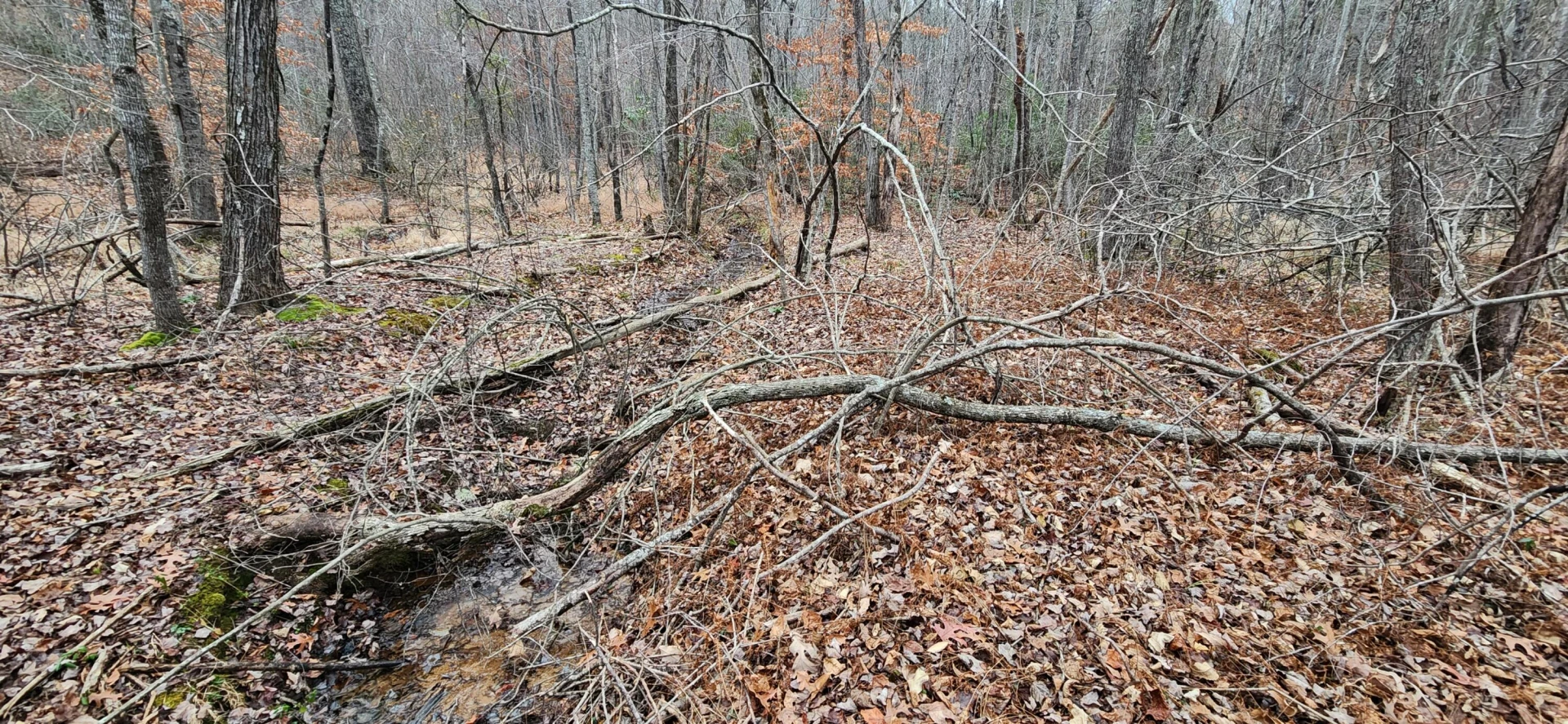 Lot 4 Sontag RD - Photo 3