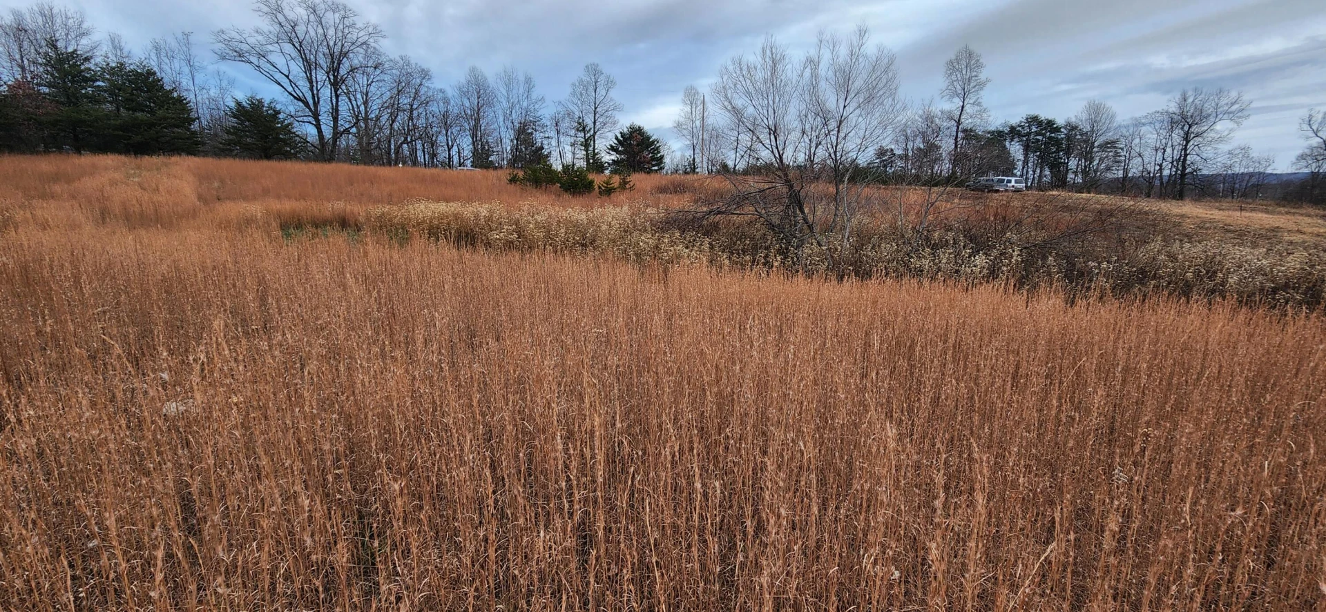 Lot 4 Sontag RD - Photo 4