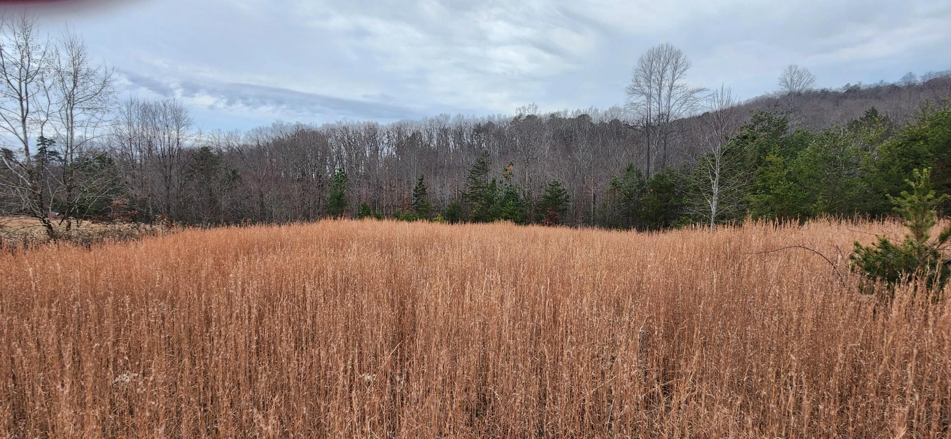 Lot 4 Sontag RD - Photo 5