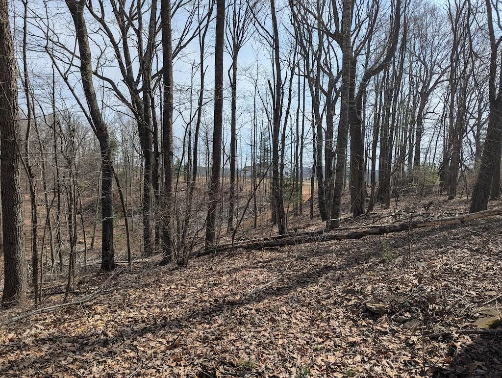 1704 Coles Knob RD NE - Photo 5