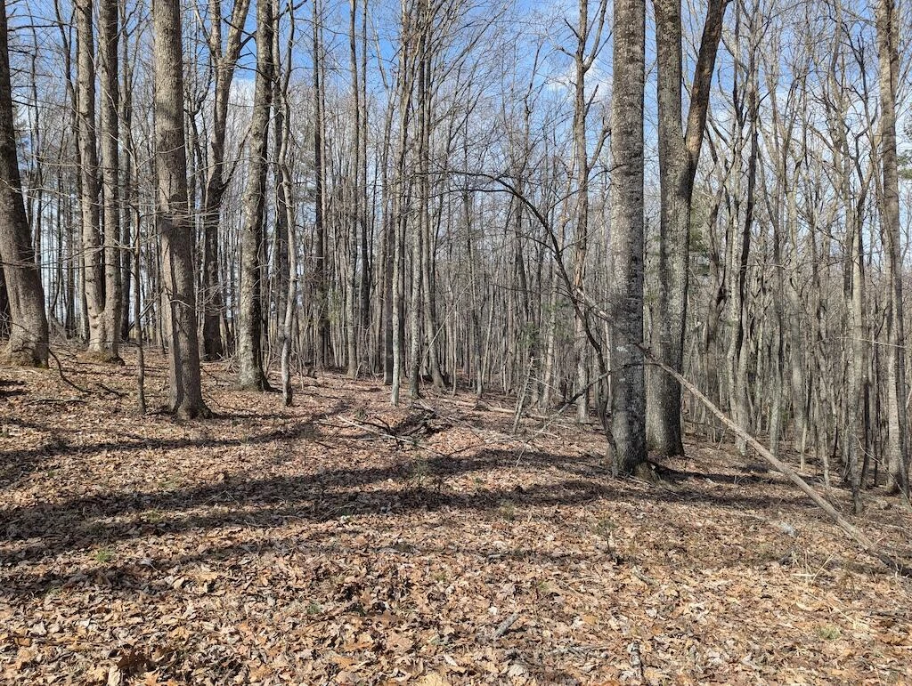 1704 Coles Knob RD NE - Photo 6