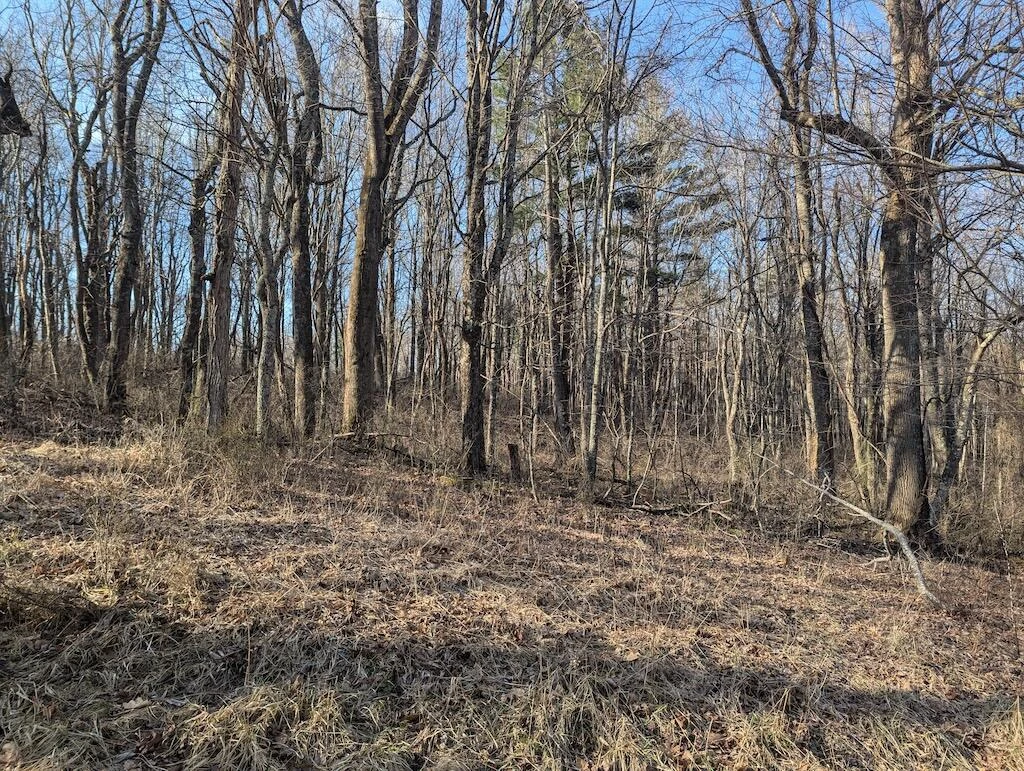 TBD Coles Knob RD NE - Photo 11