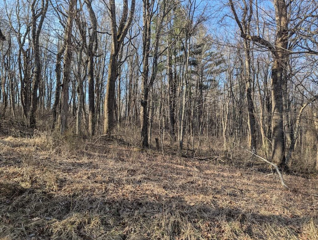 TBD Coles Knob RD NE - Photo 12