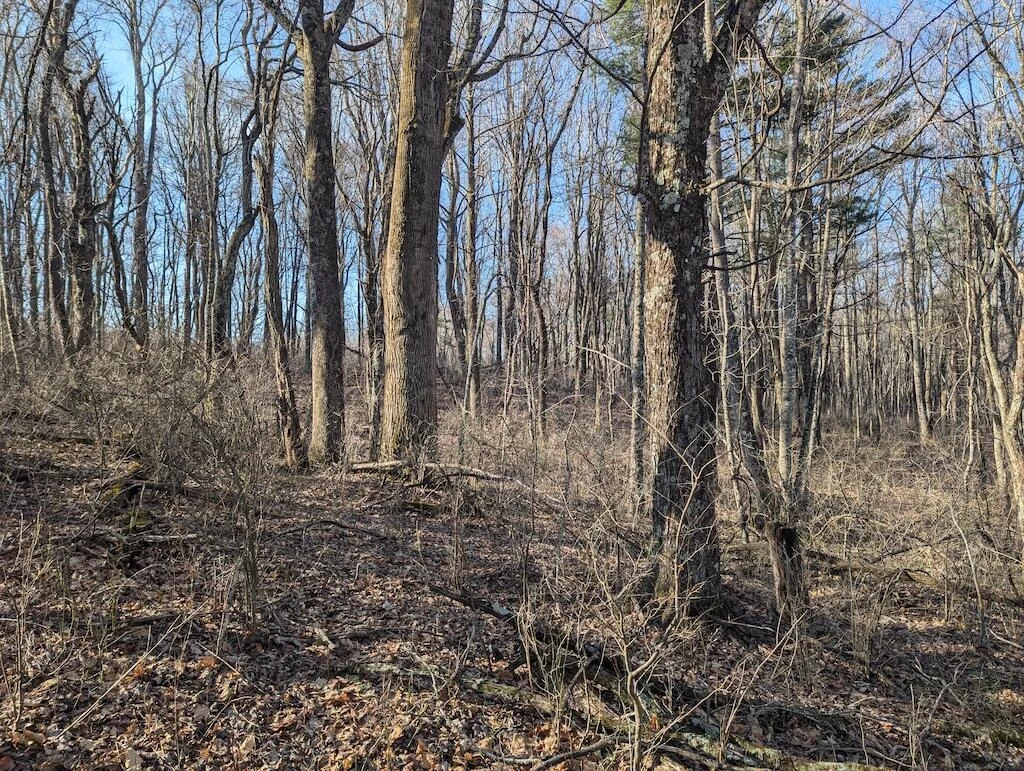 TBD Coles Knob RD NE - Photo 13