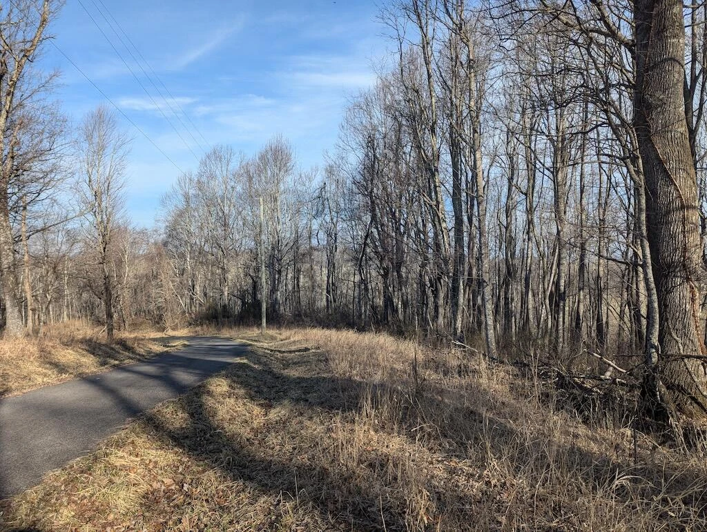 TBD Coles Knob RD NE - Photo 14