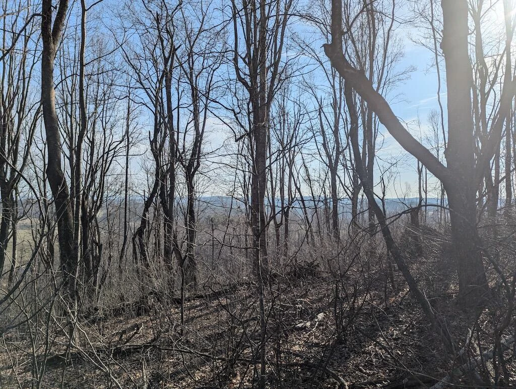 TBD Coles Knob RD NE - Photo 15