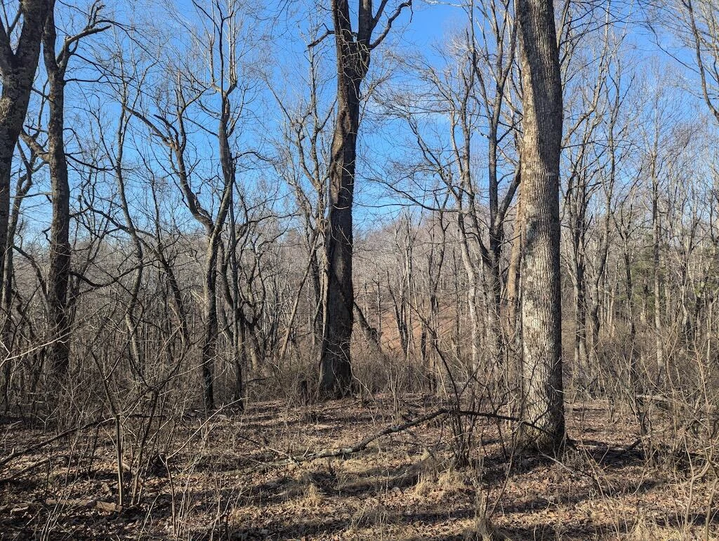 TBD Coles Knob RD NE - Photo 18