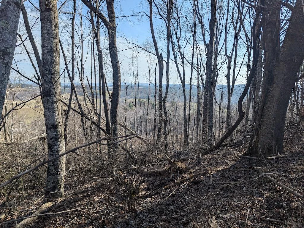 TBD Coles Knob RD NE - Photo 20